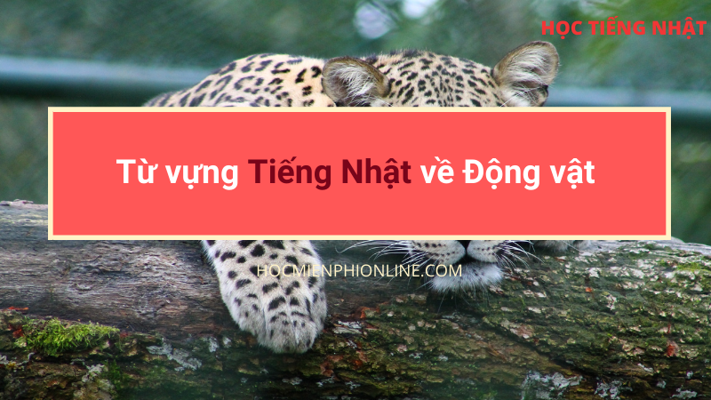 Từ vựng Tiếng Nhật về Động vật