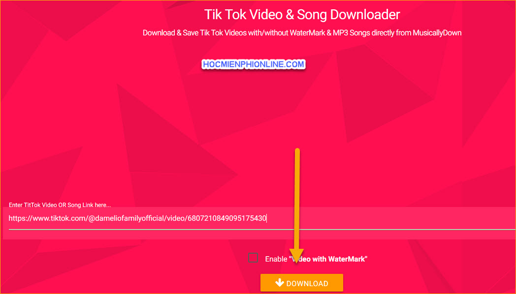 Tik Tok Video & Song Downloader