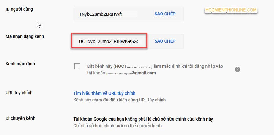 cách chèn nút youtube vào website