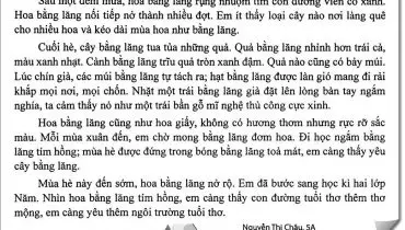 Tả một loài hoa đẹp mà em yêu thích