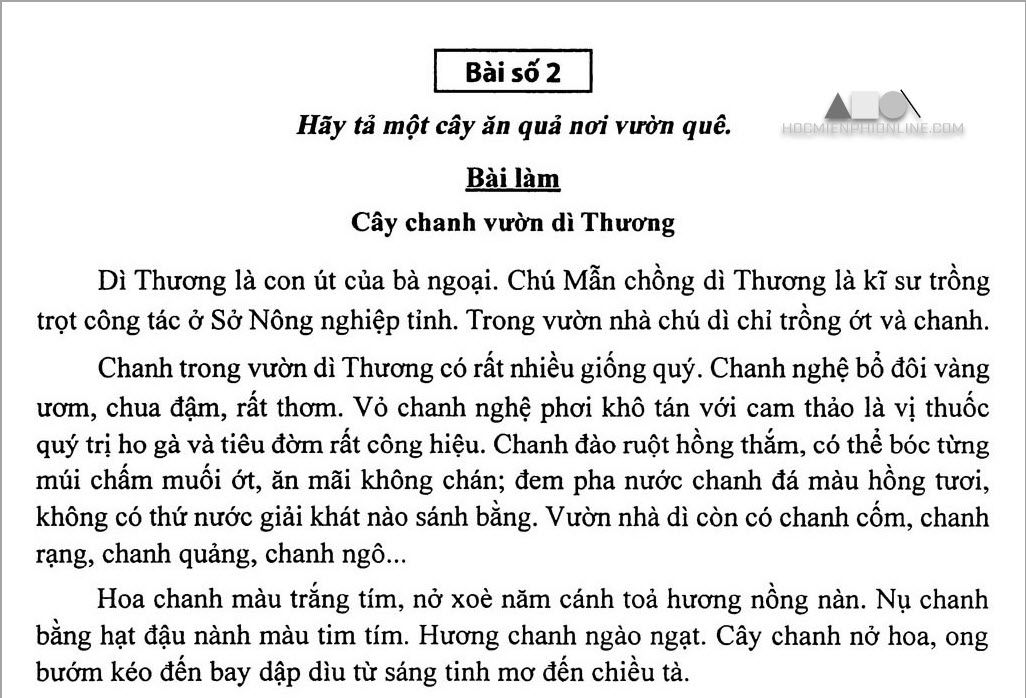 Tả cây ăn quả nơi vườn quê