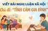 Viết bài nghị luận xã hội về chủ đề "tình cảm gia đình" 5