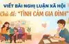 Viết bài nghị luận xã hội về chủ đề "tình cảm gia đình" 6